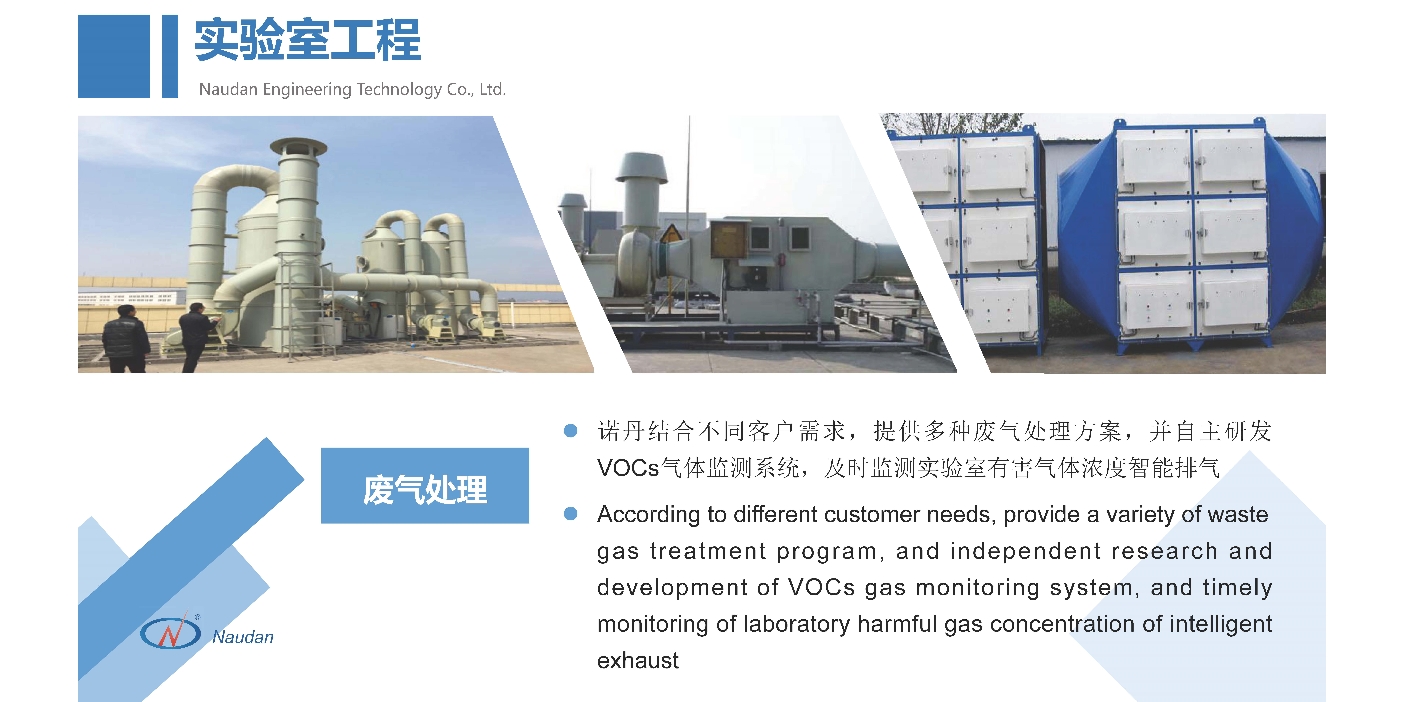 在大岭山镇大兴路附近山林区域