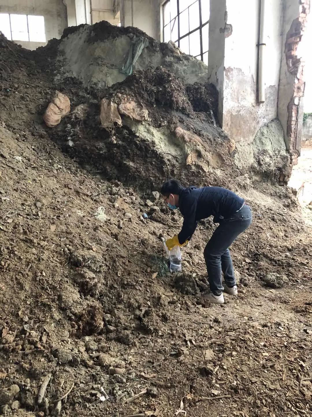 特斯拉和xAI公司已有多名核心高管先后离开