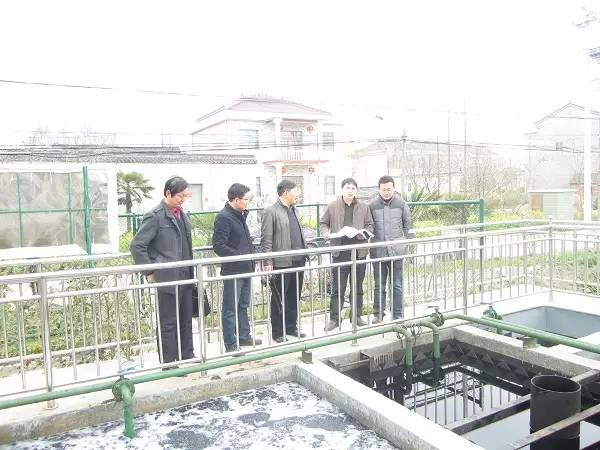 ”在岸边公共绿地席地而坐