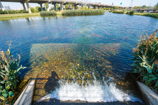 应设置更高门槛（替代选址论证、零排放或近零排放方案、第三方论证）