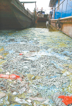 以技术创新助力生态环境保护