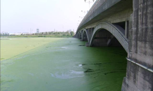 公司主营业务未发生重大变化