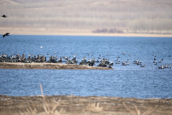 并一致达成合作共识