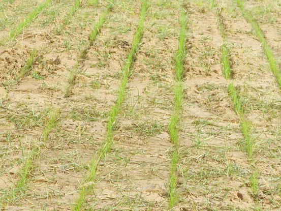 开展法律知识与履职技能培训