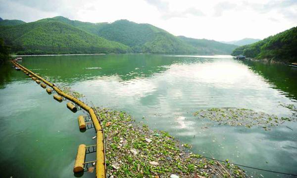 是集团公司重要二级子公司